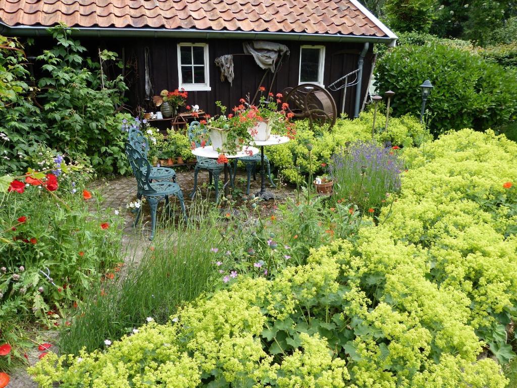 B&B En Appartementen Triente Buinen Bagian luar foto